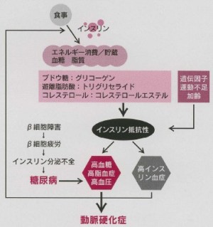 図 メタボリック症候群の発症